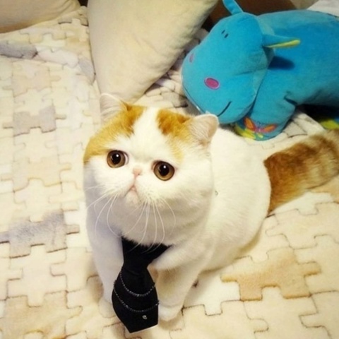 Алмаз Мингалеев